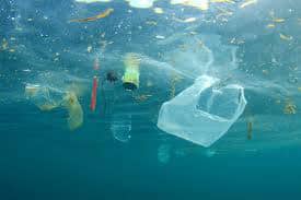 Plastic pollution in the oceans