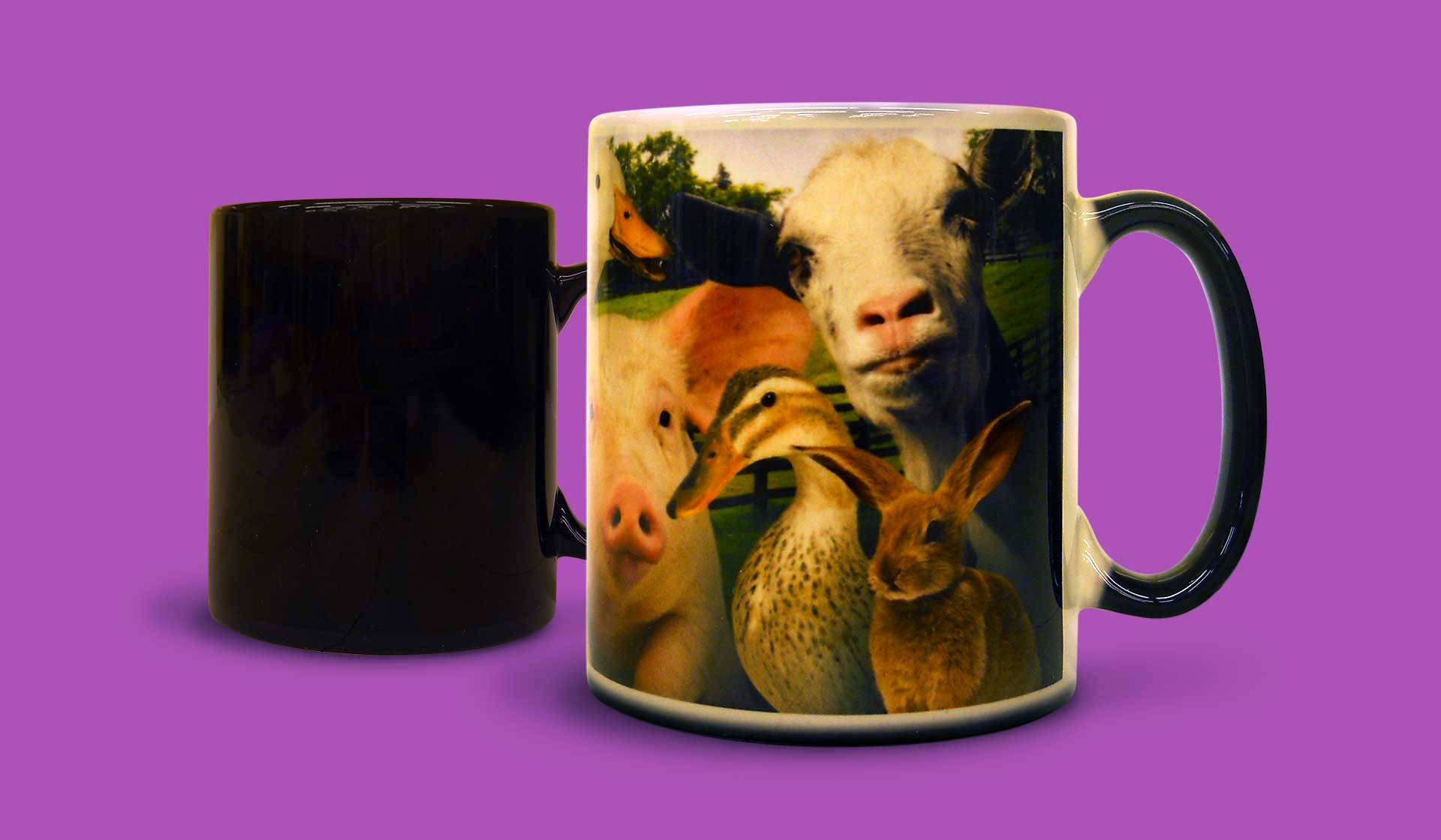 WOW Mugs from Prince William Pottery
